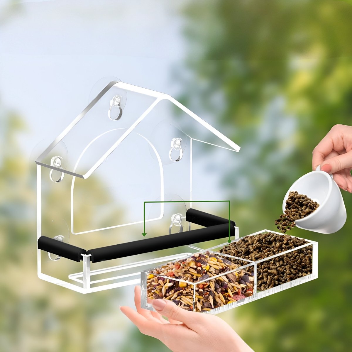 Acryl-Fenster-Vogelfutterspender mit starken Saugnäpfen für die Nahbeobachtung