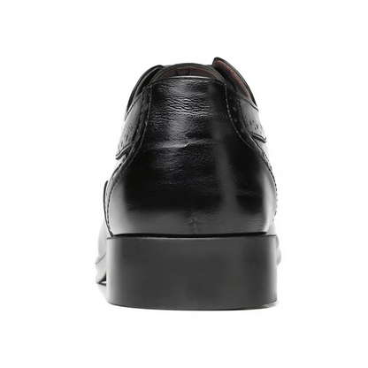 Men's Lace-up Shoes | Brogue