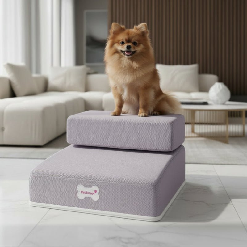 Premium Luxus Hundetreppe für sicheres Klettern auf Sofa & Bett