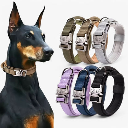 Haltbares Verstellbares Hundehalsband-Set – Ideal für Training und den Alltag