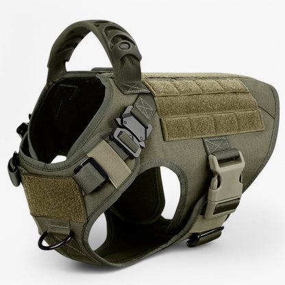 Robustes Hundegeschirr für optimale Kontrolle und Komfort