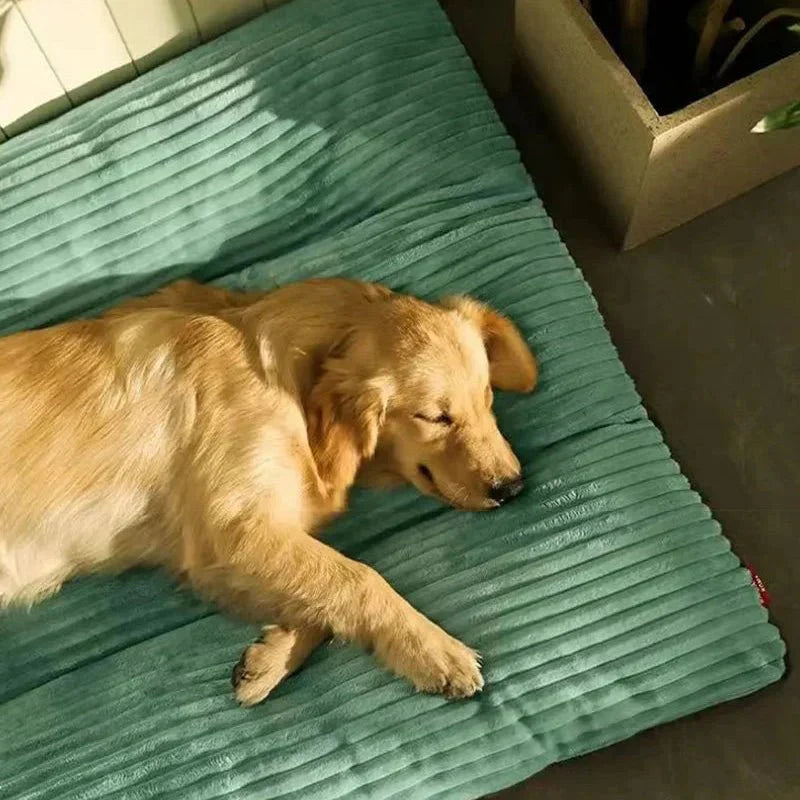 Gemütliches Komfortbett für Hunde