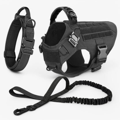 Robustes Hundegeschirr für optimale Kontrolle und Komfort