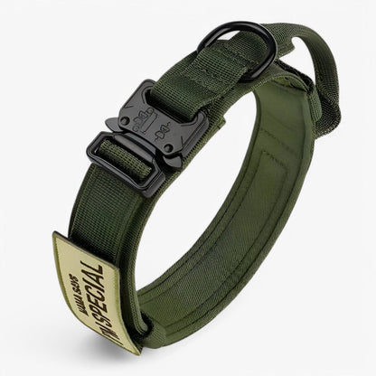 Haltbares Verstellbares Hundehalsband-Set – Ideal für Training und den Alltag