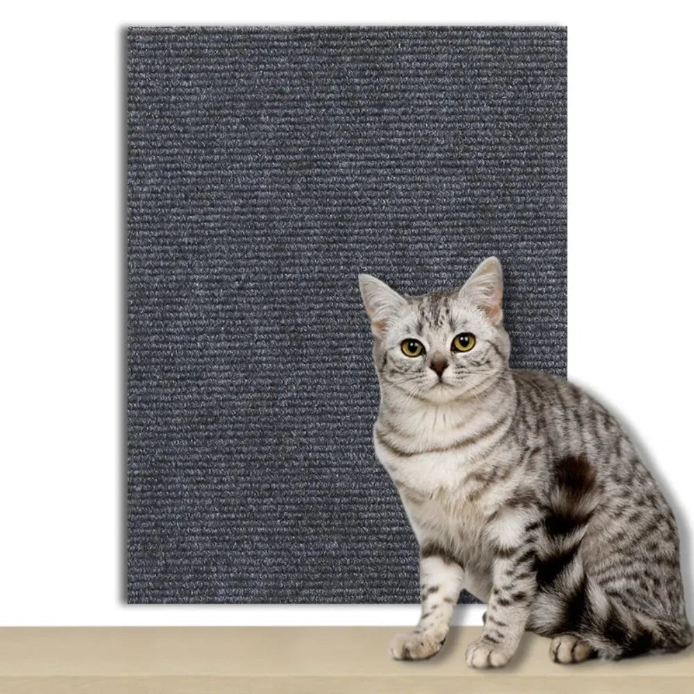Selbstklebende Schutzplatte für Katzen zum Schutz von Möbeln, Wänden & Teppichen