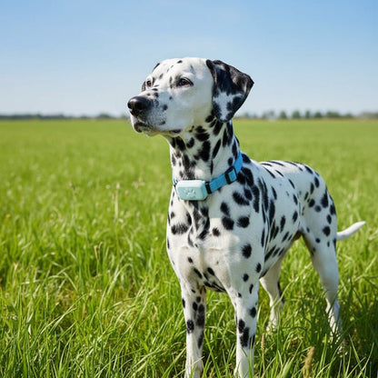 Intelligenter GPS-Haustier-Tracker mit verstellbarem Halsband für Hunde und Katzen
