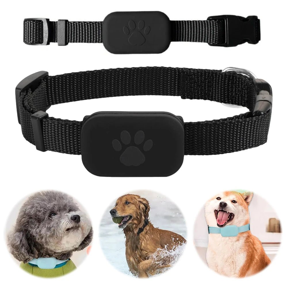Intelligenter GPS-Haustier-Tracker mit verstellbarem Halsband für Hunde und Katzen