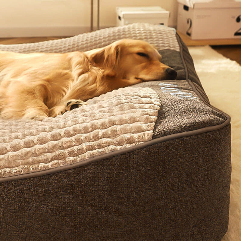 Großes, Kratzfestes Hundebett mit Orthopädischer Wirbelsäulenunterstützung