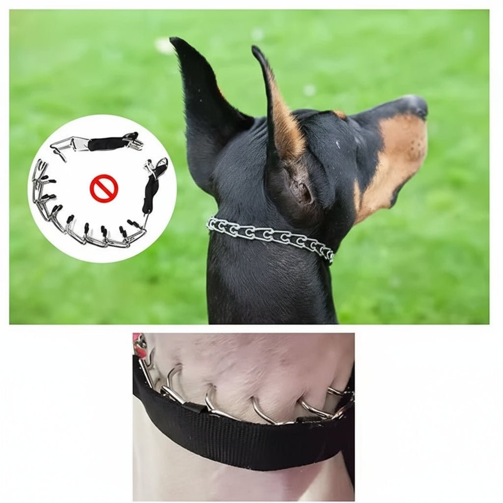 Hundeausbildung Prong-Halsband mit langlebigem Stahl und weichem Nylon-Schutz