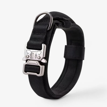 Haltbares Verstellbares Hundehalsband-Set – Ideal für Training und den Alltag