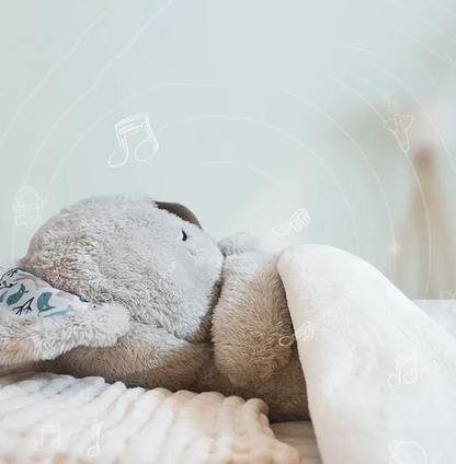Beruhigendes Koala Atemspielzeug