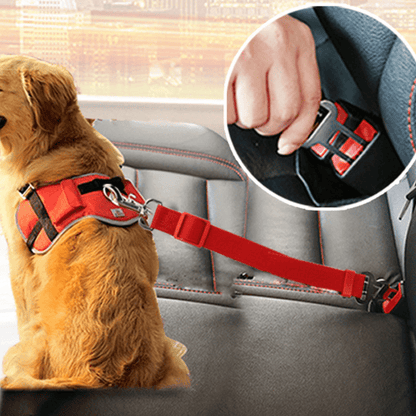 Verstellbarer Sicherheitsgurt für Hunde im Auto