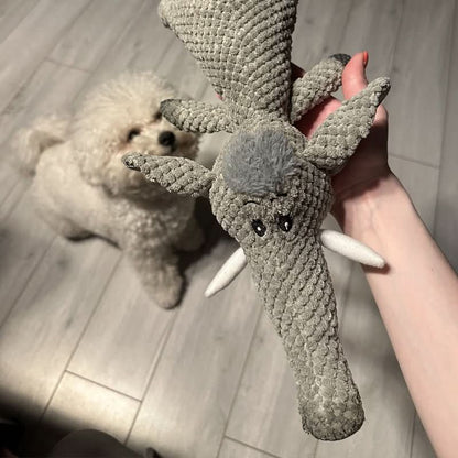 Robustes Kauspielzeug für kleine und große Hunde