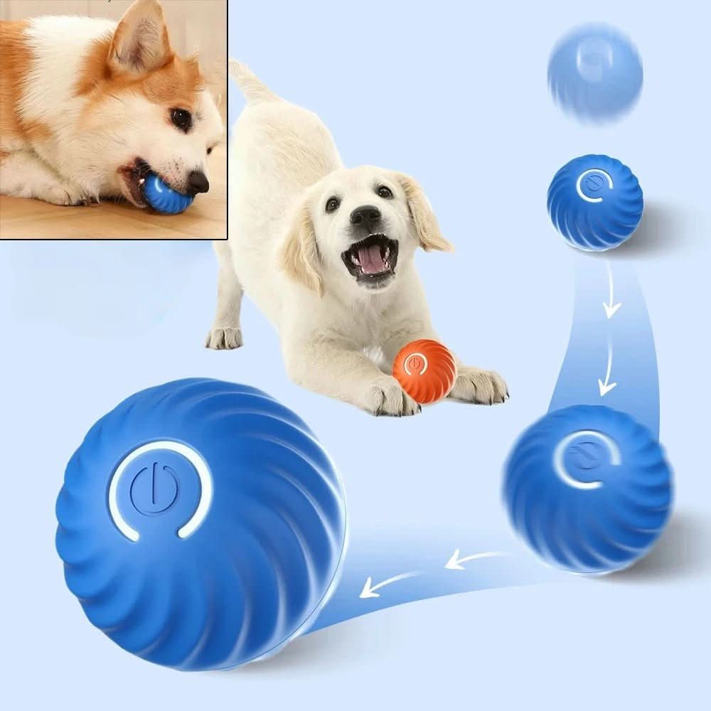 Intelligente Spielkugel mit automatischer Bewegung für aktive Hunde