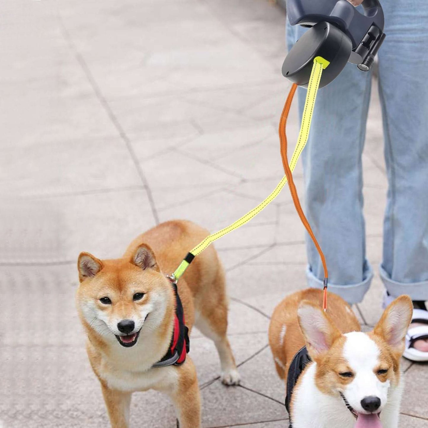 Einziehbare Leine für zwei Hunde mit integriertem Taschenlampe