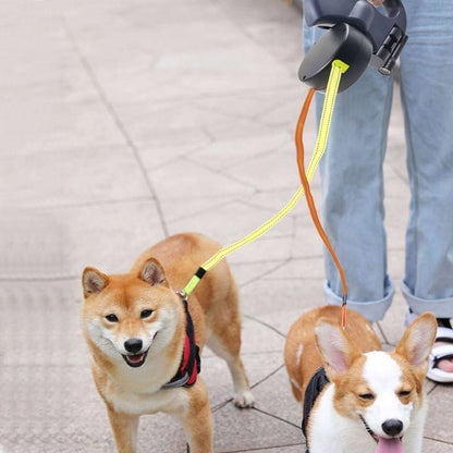Einziehbare Leine für zwei Hunde mit integriertem Taschenlampe