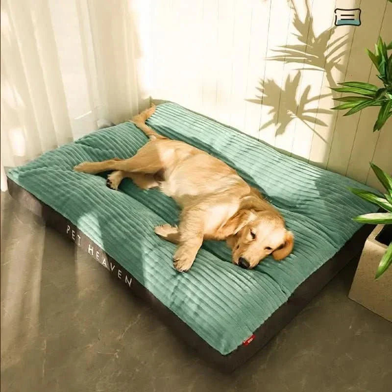 Orthopädisches Hundebett – Gemütlich & Unterstützend für Erholsame Nächte