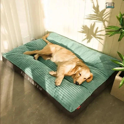 Orthopädisches Hundebett – Gemütlich & Unterstützend für Erholsame Nächte
