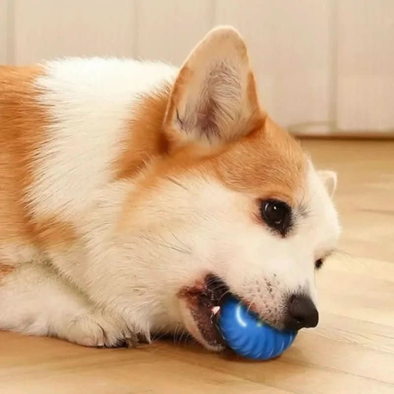 Intelligente Spielkugel mit automatischer Bewegung für aktive Hunde