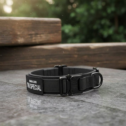 Haltbares Verstellbares Hundehalsband-Set – Ideal für Training und den Alltag