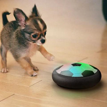 Interaktive Spielball für Hunde mit unvorhersehbaren Bewegungen