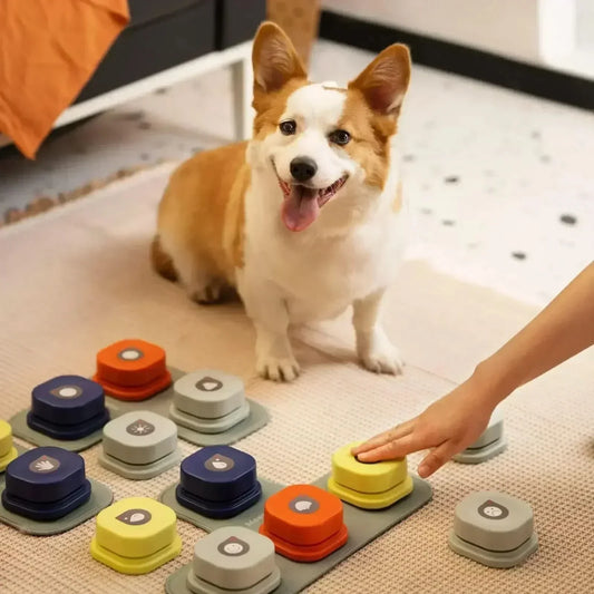 Interaktive Sprachknöpfe für verspielte Hundekommunikation