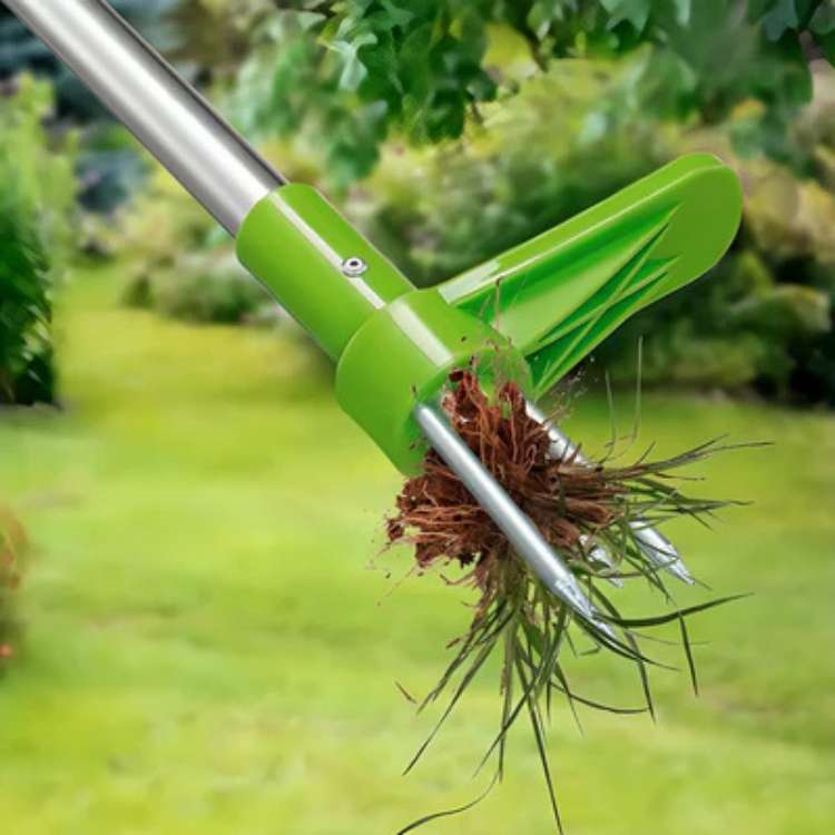 Garten-Unkrautzieher