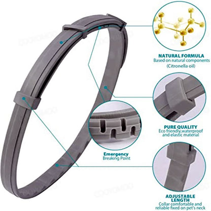 Anti-Zecken- und Flohhalsband